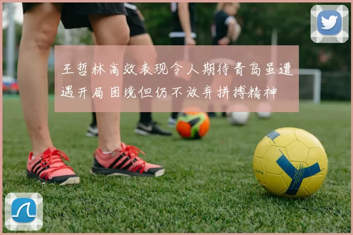 王哲林高效表现令人期待青岛虽遭遇开局困境但仍不放弃拼搏精神
